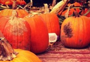 pumpkin_feat