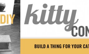 kitty_condo_feat