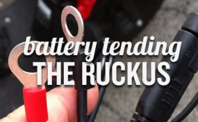 ruckus_tender_feat